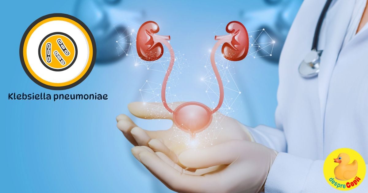 Infectia urinara cu Klebsiella pneumoniae: nu doar din spitale! Cauze, manifestari si ce poti face